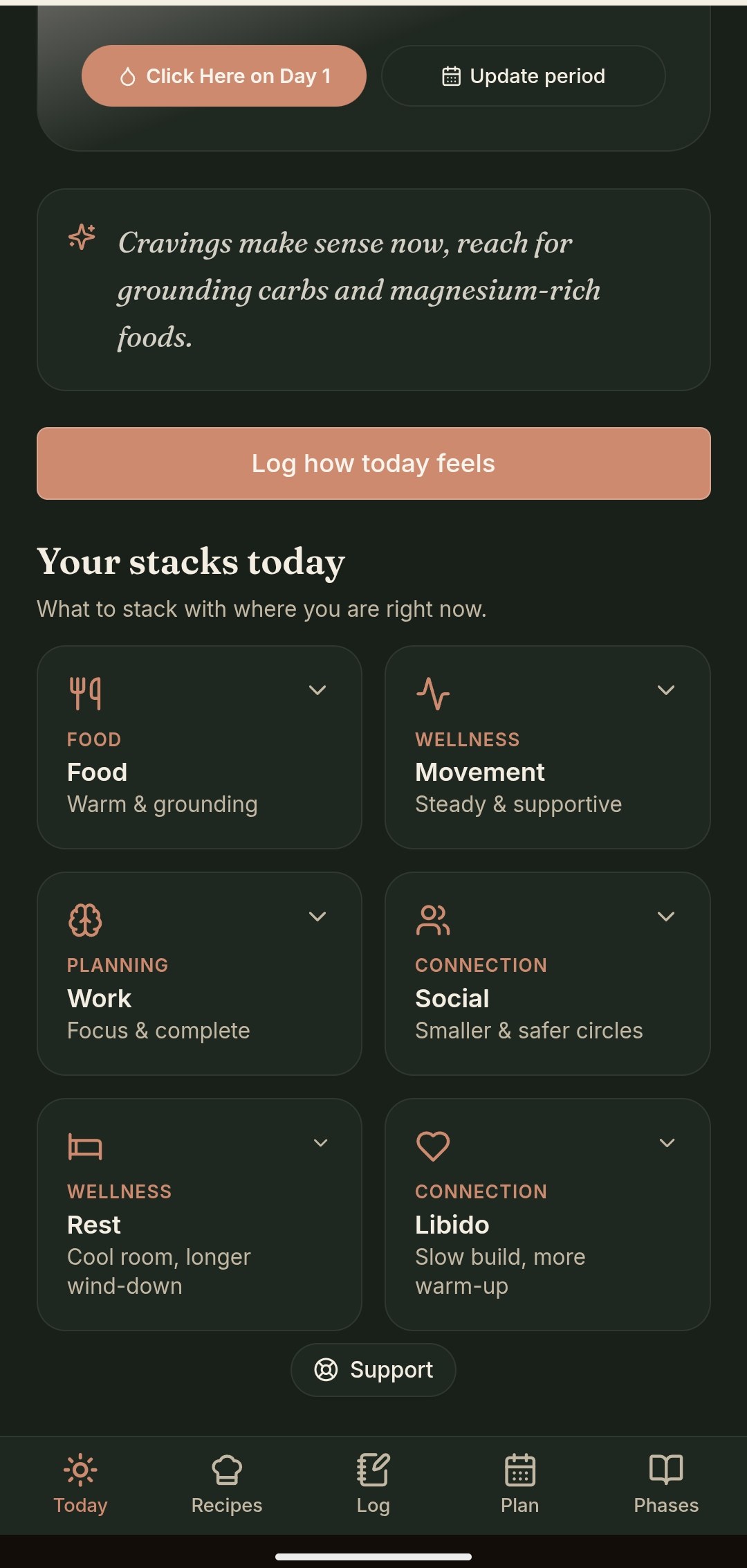 Day 1 Today screen showing Your stacks today with Food, Movement, Planning, Connection, Rest, and Libido cards
